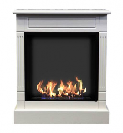 Биокамин ZeFire Клер Биокамин ZeFire Клер по цене 59 000 руб.